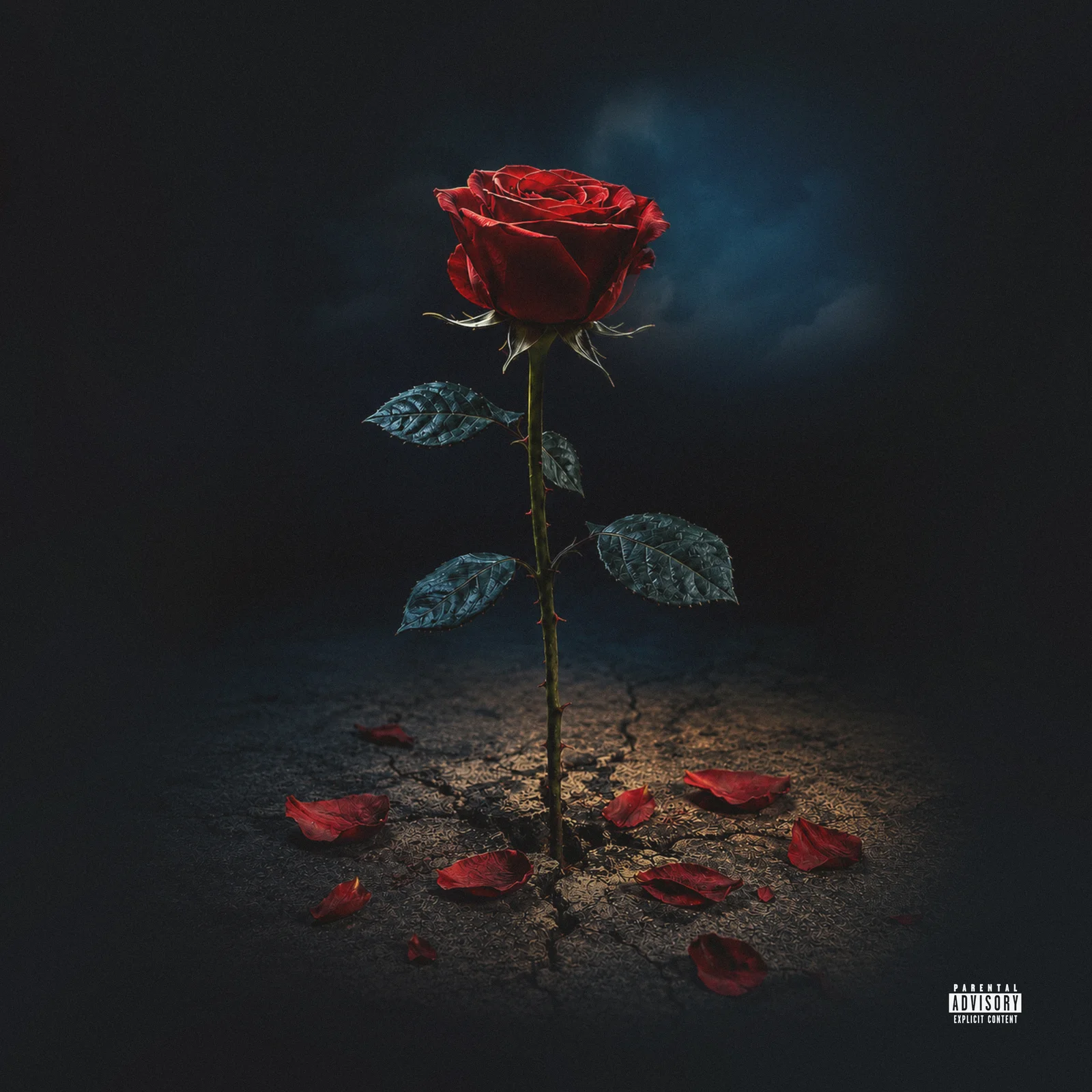 Good To Be Vertical album artwork